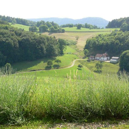 Gîte la Sapinière Labaroche Esterno foto