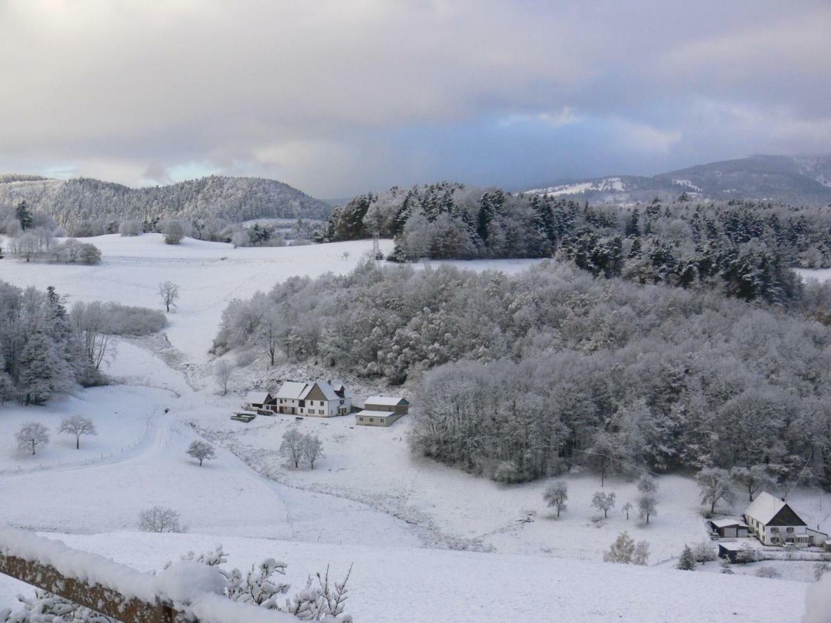 Gîte la Sapinière Labaroche Esterno foto