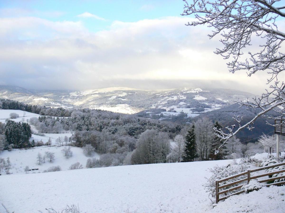 Gîte la Sapinière Labaroche Esterno foto